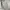 Lafudge Streetwear Casual Formal shirt Pria white photo 4