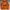 Adidas Streetwear Casual Hoody Pria orange photo 1