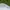 Made in USA Vintage Casual Hat Pria white photo 4