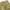 In the Attic Y2K Grunge Short Pria tan brown photo 5