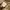 In the Attic Y2K Grunge Short Pria tan brown photo 6