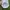 Vintage Casual Hat Pria white photo 3