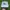 Vintage Casual Hat Pria white photo 1