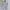 Patagonia Streetwear Sportswear T-shirt Pria white photo 2
