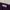 Burberry Streetwear Polo shirt Pria purple photo 3