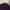 Burberry Streetwear Polo shirt Pria purple photo 2