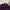 Burberry Streetwear Polo Shirt Pria Purple