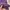 Burberry Streetwear Polo shirt Pria purple photo 5