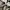 Vans Streetwear Skater Sneakers Pria white black photo 7