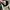 Vans Streetwear Skater Sneakers Pria white black photo 6