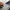Ben Davis Streetwear Casual Short Pria multicolor photo 8