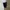 Ben Davis Streetwear Casual Short Pria multicolor photo 2