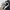 Ben Davis Streetwear Casual Short Pria multicolor photo 6