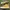 Converse Casual Sneakers Pria yellow photo 2