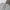 Streetwear Casual Short Pria multicolor photo 4
