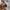 Streetwear Casual Short Pria multicolor photo 7
