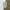 Streetwear Casual Short Pria multicolor photo 5