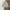 Streetwear Casual Short Pria multicolor photo 3