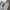 Streetwear Casual Short Pria multicolor photo 6