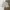 Streetwear Casual Short Pria multicolor photo 1