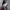 TATE Minimalist Casual Harrington jacket Pria cream photo 4