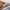 Zara Casual Short Pria multicolor photo 6