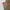 Zara Casual Short Pria multicolor photo 3