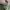 This is April Casual Culotte Wanita green photo 5