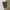 Streetwear Sportswear Short Pria multicolor photo 3