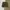 Streetwear Sportswear Short Pria multicolor photo 2