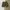 Streetwear Sportswear Short Pria multicolor photo 1