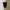 K2 Streetwear Sportswear Short Pria multicolor photo 3