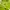 Crocs Casual Platform Wanita green photo 4