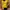 Casual Wanita yellow photo 1