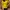 Casual Wanita Yellow