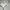 Von Dutch Streetwear Casual Hoody Pria gray photo 2
