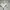 Von Dutch Streetwear Casual Hoody Pria Gray