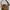 Sophie Martin Vintage Y2K Crossbody Bag Wanita Tan Brown