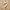 Puma Casual Sneakers Wanita cream tan photo 1