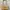 Vivienne Westwood Vintage Luxury Shoulder bag Wanita cream photo 1