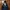 Carhartt Gorpcore Casual Harrington jacket Pria navy photo 3