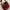 Sophie Martin Vintage Y2K Tote bag Wanita brown red photo 2