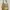 Vintage Y2K Tote bag Wanita cream tan photo 1