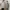 Uniqlo Casual Sweater Pria gray photo 1