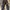 Streetwear Jeans Pria multicolor photo 5