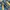 Dolce & Gabbana Y2K Luxury Jeans Pria multicolor photo 5