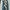 Dolce & Gabbana Y2K Luxury Jeans Pria multicolor photo 3