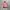Japanese brand Vintage Y2K Bomber jacket Wanita pink photo 1