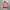 Japanese Brand Vintage Y2K Bomber Jacket Wanita Pink