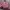 Japanese brand Vintage Y2K Bomber jacket Wanita pink photo 3